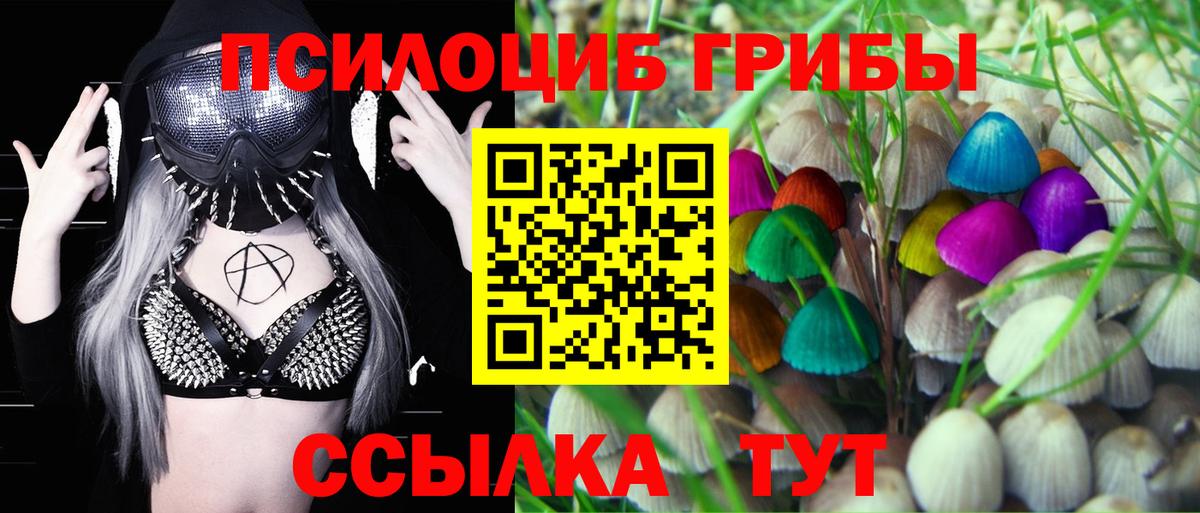 Галлюциногенные грибы прущие грибы Зеленокумск